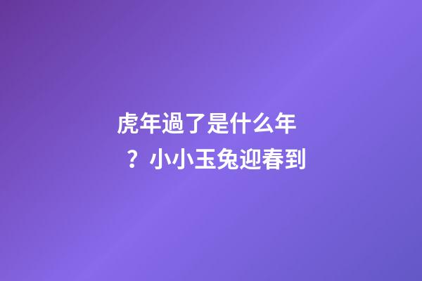 虎年過了是什么年？小小玉兔迎春到
